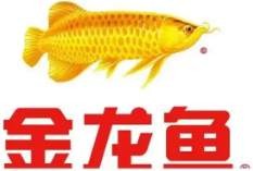 食品与饮料品牌 21